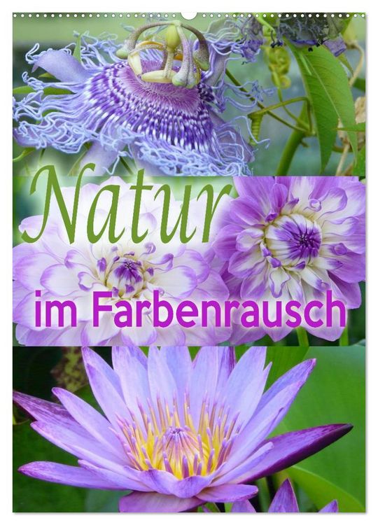 Produktbild: Natur im Farbenrausch (Wandkalender 2026 DIN A2 hoch), CALVENDO Monatskalender
