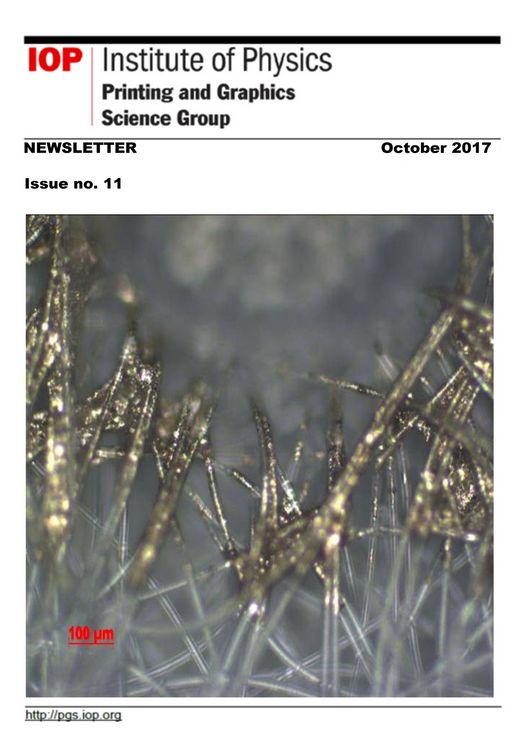 Produktbild: Issue #11 Printing and Graphics Science Group Newsletter (Printing and Graphics Science Group Newsletters, #6)