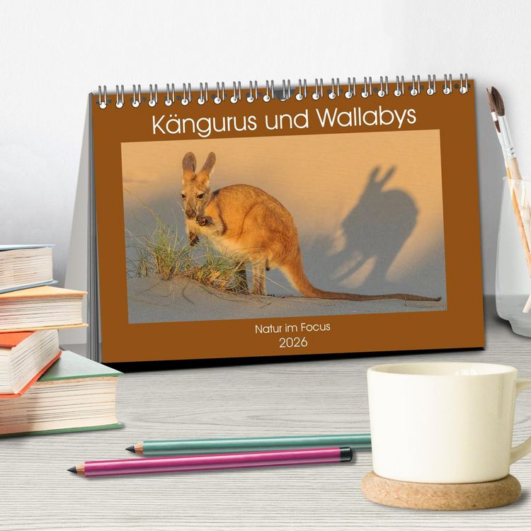 Produktbild: K&auml;ngururs und Wallabys (Tischkalender 2026 DIN A5 quer), CALVENDO Monatskalender