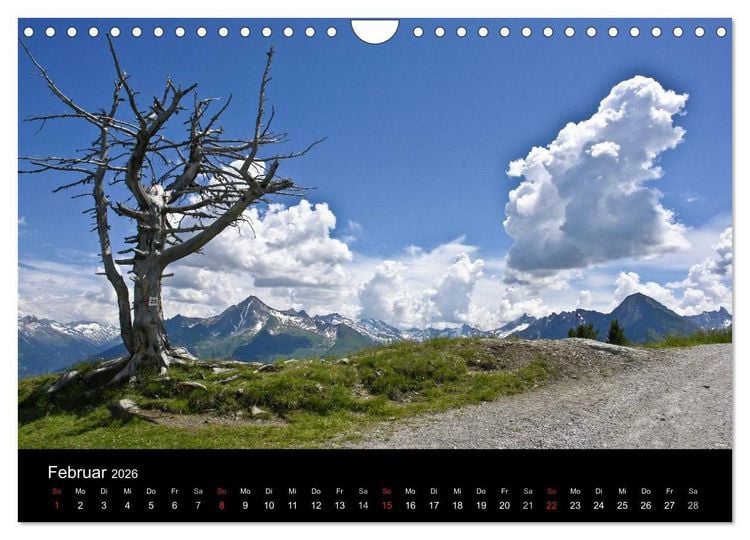 Produktbild: Baum-Variationen (Wandkalender 2026 DIN A4 quer), CALVENDO Monatskalender