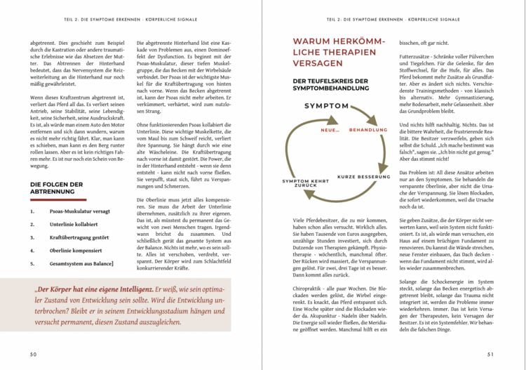 Produktbild: KastrationsTrauma - Wenn der K&ouml;rper nicht mehr zur&uuml;ckfindet