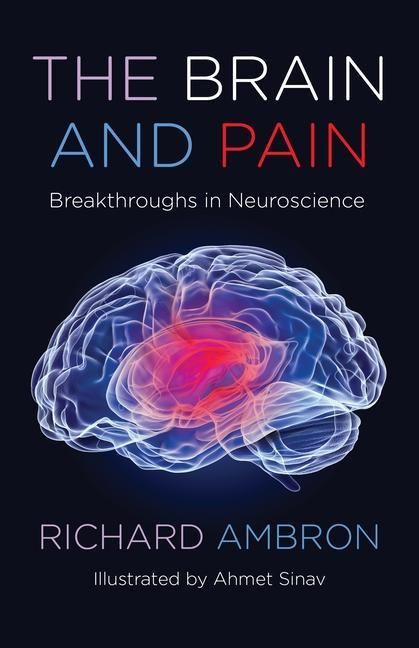 Produktbild: Ambron, R: Brain and Pain