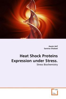 Produktbild: Asif, A: Heat Shock Proteins Expression under Stress.