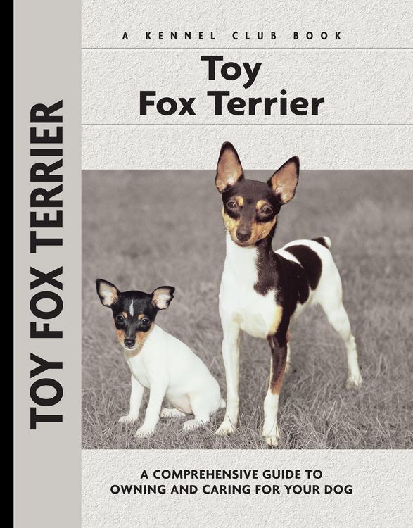 Produktbild: Toy Fox Terrier