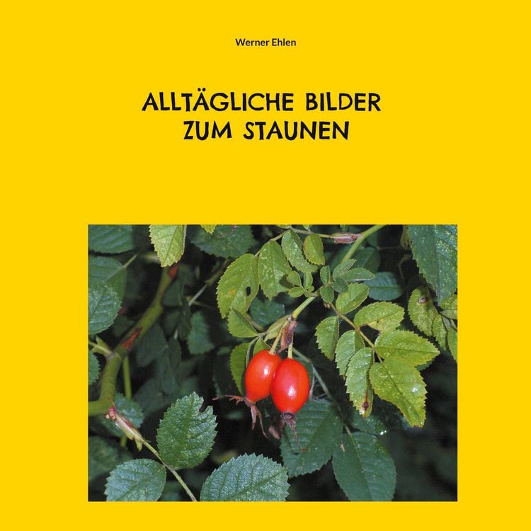 Produktbild: Allt&auml;gliche Bilder zum Staunen