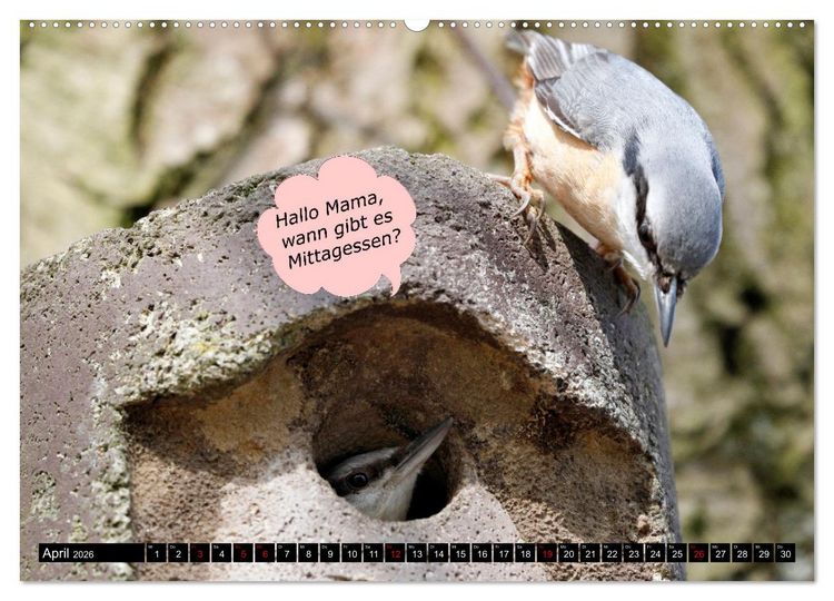 Produktbild: Wenn Tiere sprechen k&ouml;nnten! Der lustige Spr&uuml;che Kalender (Wandkalender 2026 DIN A2 quer), CALVENDO Monatskalender