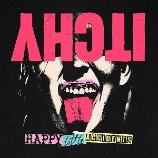 Produktbild: Happy Little Accidents
