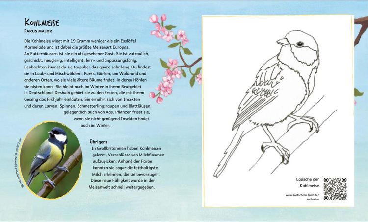 Produktbild: Das Zwitschern der V&ouml;gel