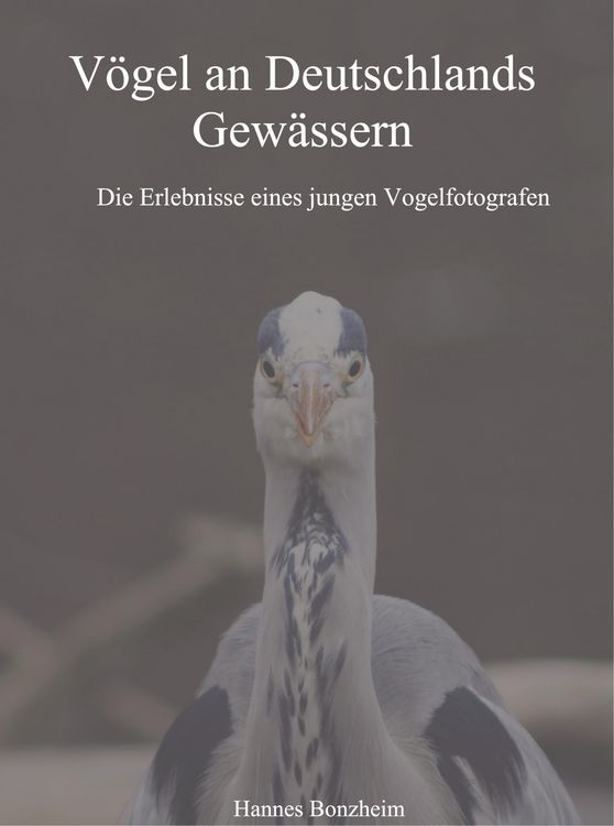 Produktbild: V&ouml;gel an Deutschlands Gew&auml;ssern