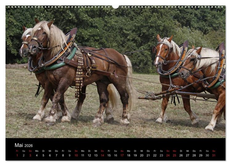 Produktbild: Starke Pferde bei der Arbeit (Wandkalender 2026 DIN A2 quer), CALVENDO Monatskalender