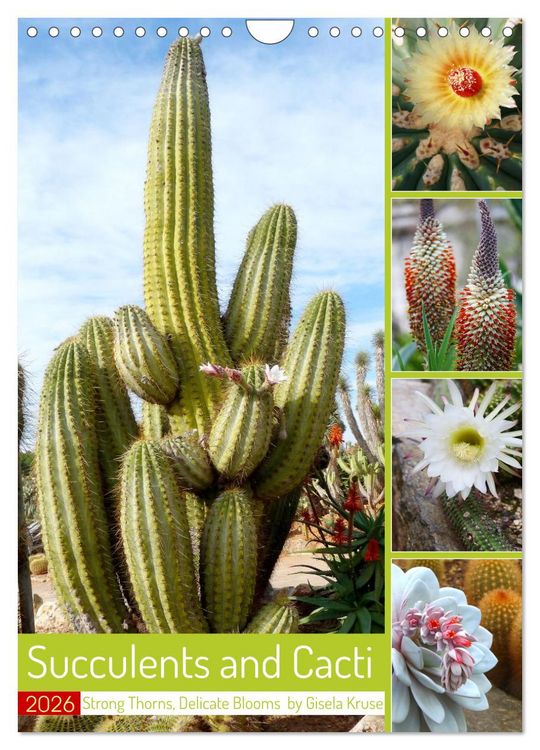 Produktbild: Succulents and Cacti - Strong Thorns, Delicate Blooms (Wall Calendar 2026 DIN A4 portrait), CALVENDO 12 Month Wall Calendar