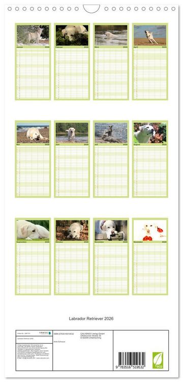 Produktbild: Familienplaner 2026 - Labrador Retriever 2026 mit 5 Spalten (Wandkalender, 21 x 45 cm) CALVENDO