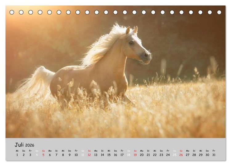 Produktbild: Pferde - Anmut und St&auml;rke gepaart mit Magie (Tischkalender 2026 DIN A5 quer), CALVENDO Monatskalender