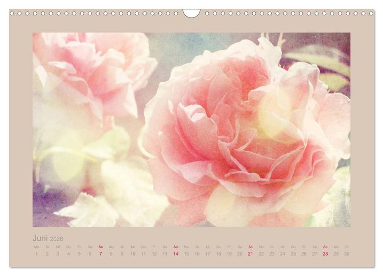 Produktbild: Romantische Rosen (Wandkalender 2026 DIN A3 quer), CALVENDO Monatskalender