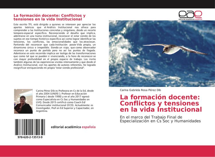Produktbild: La formaci&oacute;n docente: Conflictos y tensiones en la vida Institucional