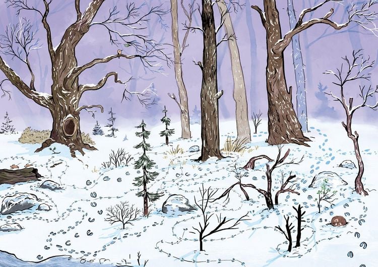 Produktbild: Selmas wundersamer Winter im Tapetenwald