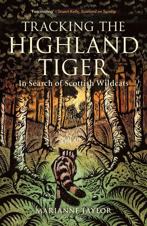 Produktbild: Tracking The Highland Tiger