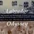 Produktbild: Labrador Odyssey