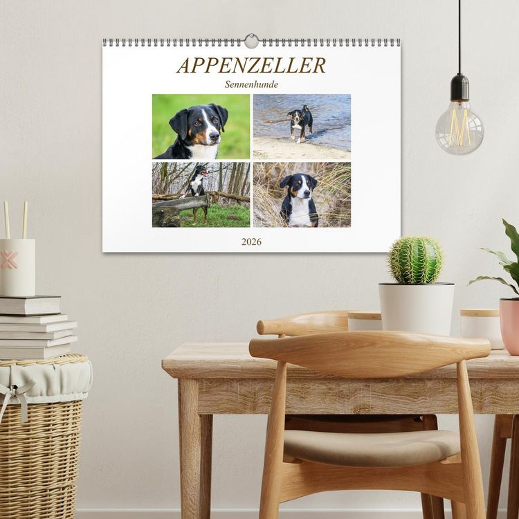 Produktbild: Appenzeller Sennenhunde (Wandkalender 2026 DIN A3 quer), CALVENDO Monatskalender