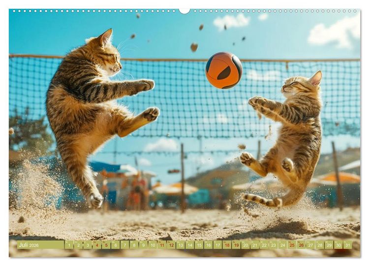 Produktbild: Lustige Sportarten f&uuml;r Katzen (Wandkalender 2026 DIN A2 quer), CALVENDO Monatskalender