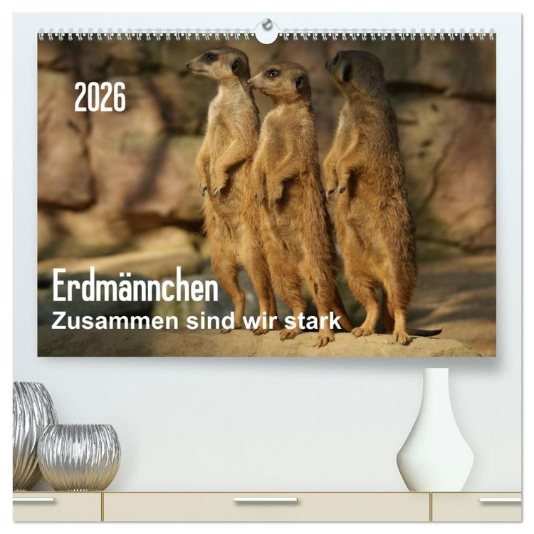Produktbild: Erdm&auml;nnchen &ndash; Zusammen sind wir stark / CH-Version (hochwertiger Premium Wandkalender 2026 DIN A2 quer), Kunstdruck in Hochglanz