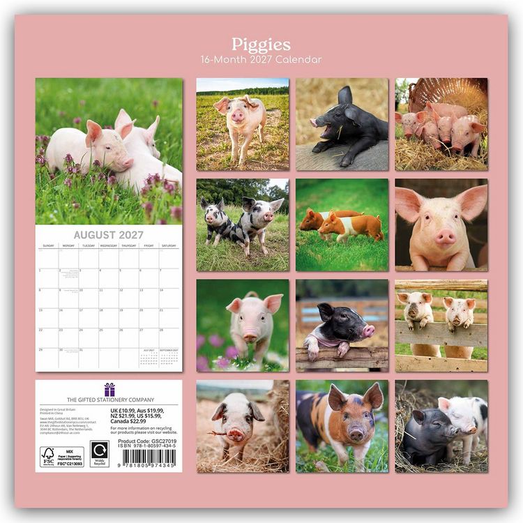 Produktbild: Piggies &ndash; Ferkel Schweine 2027 &ndash; 16-Monatskalender