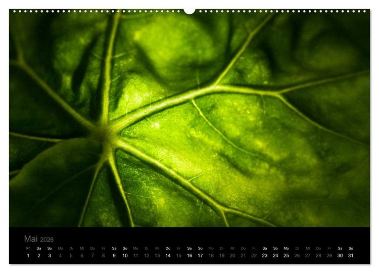 Produktbild: Natur im Detail (Wandkalender 2026 DIN A2 quer), CALVENDO Monatskalender