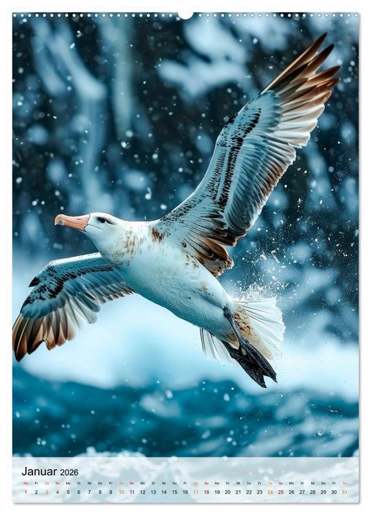 Produktbild: V&ouml;gel - K&uuml;nstler im Flug (hochwertiger Premium Wandkalender 2026 DIN A2 hoch), Kunstdruck in Hochglanz