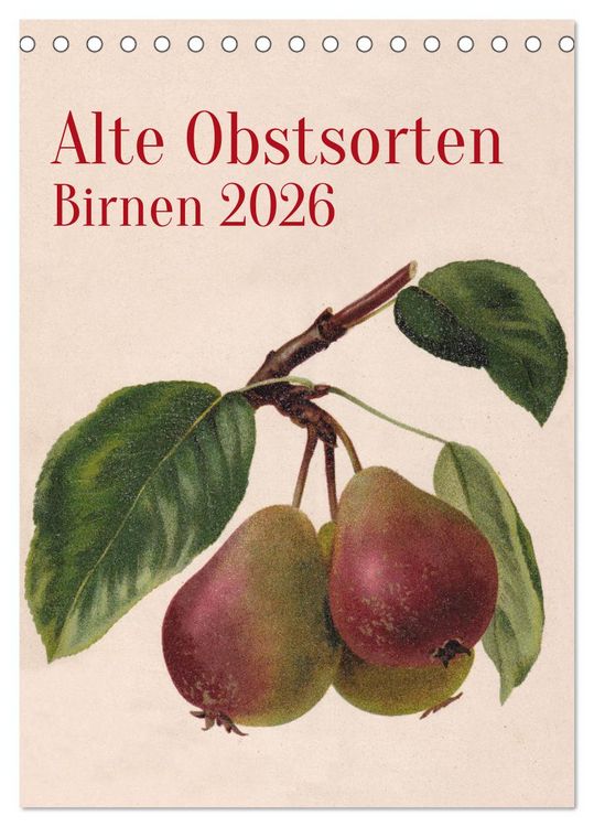 Produktbild: Alte Obstsorten - Birnen 2026 (Tischkalender 2026 DIN A5 hoch), CALVENDO Monatskalender