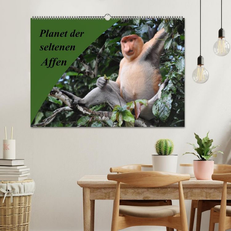 Produktbild: Planet der seltenen Affen (Wandkalender 2026 DIN A2 quer), CALVENDO Monatskalender