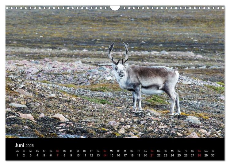 Produktbild: TRAUMZIEL ARKTIS, Impressionen vom Rand der Welt (Wandkalender 2026 DIN A3 quer), CALVENDO Monatskalender