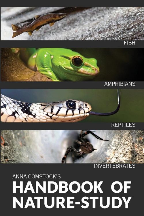 Produktbild: The Handbook Of Nature Study in Color - Fish, Reptiles, Amphibians, Invertebrates