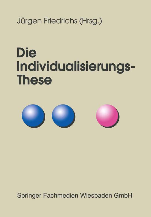 Produktbild: Die Individualisierungs-These