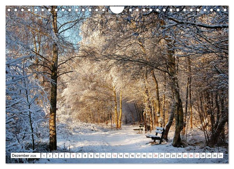 Produktbild: Wege gehen... (Wandkalender 2026 DIN A4 quer), CALVENDO Monatskalender