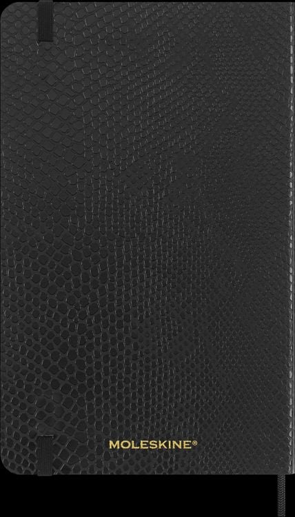Produktbild: Moleskine Vegea Boa Notizbuch Large/A5 liniert weicher Einband schwarz in Box