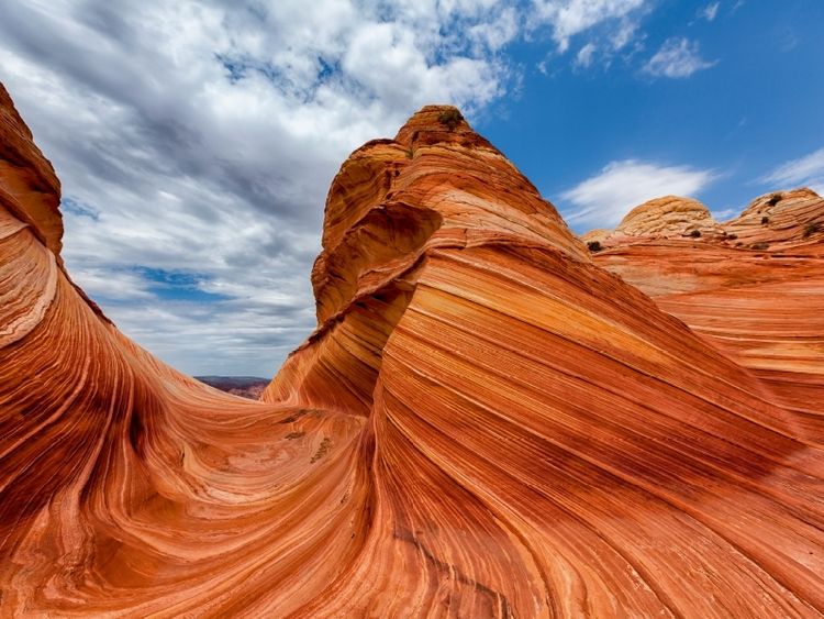 Produktbild: The Wave, Arizona (Puzzle)