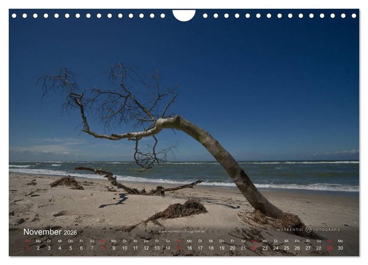 Produktbild: Prerows Wilder Westen (Wandkalender 2026 DIN A4 quer), CALVENDO Monatskalender