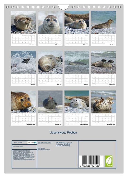Produktbild: Liebenswerte Robben (Wandkalender 2026 DIN A4 hoch), CALVENDO Monatskalender