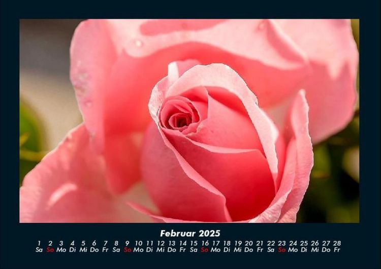 Produktbild: Blumentr&auml;ume 2025 Fotokalender DIN A4