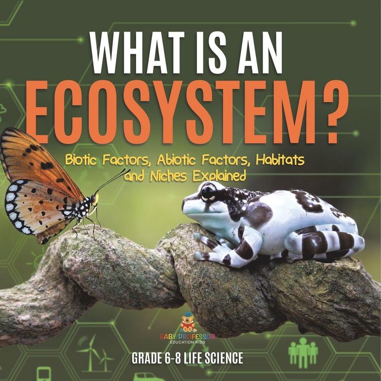 Produktbild: What is an Ecosystem? Biotic Factors, Abiotic Factors, Habitats and Niches Explained | Grade 6-8 Life Science