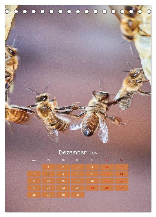 Produktbild: Gesch&auml;ftig wie im Bienenstock (Tischkalender 2026 DIN A5 hoch), CALVENDO Monatskalender