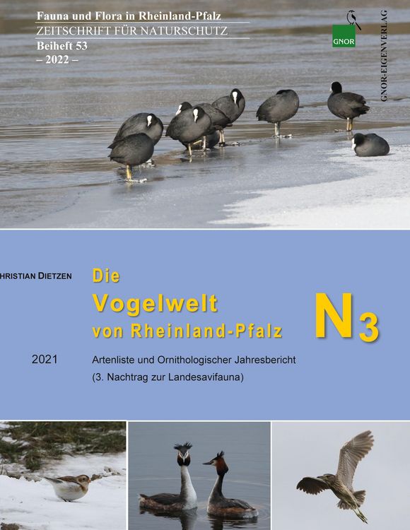 Produktbild: Die Vogelwelt von Rheinland-Pfalz N3