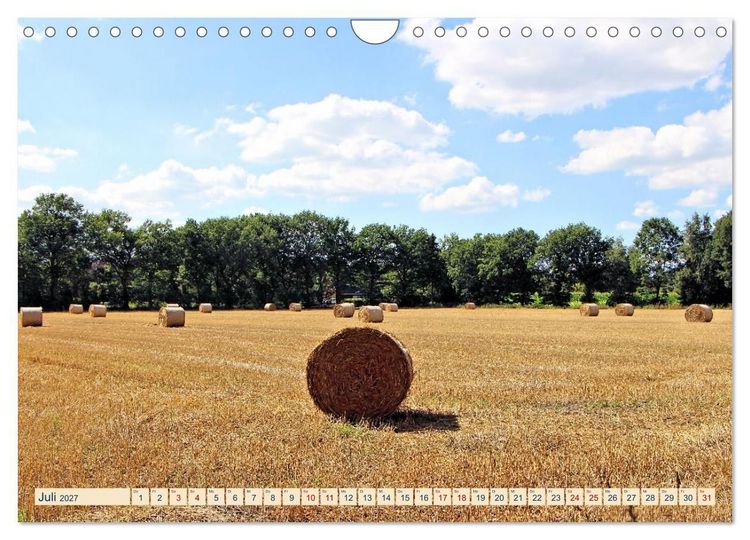 Produktbild: In Apen und umzu (Wandkalender 2027 DIN A4 quer), CALVENDO Monatskalender