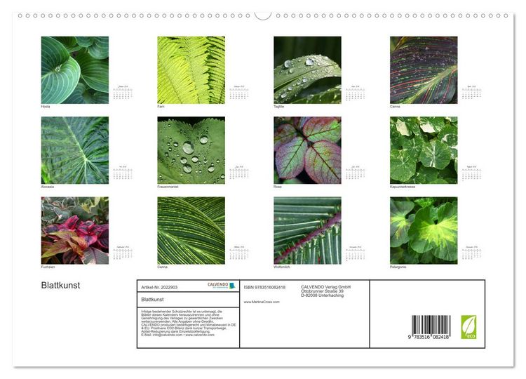 Produktbild: Blattkunst (hochwertiger Premium Wandkalender 2026 DIN A2 quer), Kunstdruck in Hochglanz
