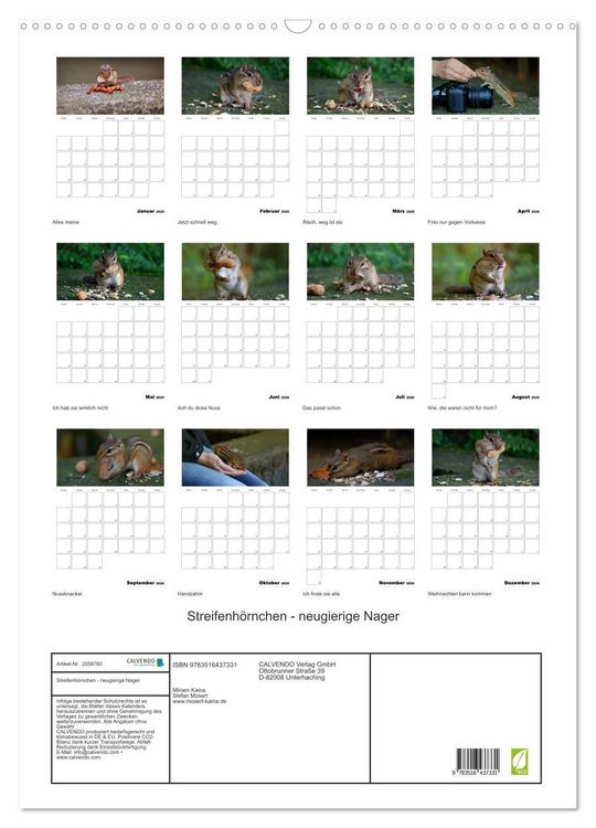 Produktbild: Streifenh&ouml;rnchen - neugierige Nager (Wandkalender 2026 DIN A2 hoch), CALVENDO Monatskalender