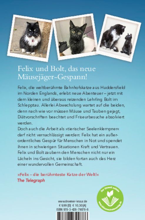 Produktbild: Mit Volldampf voraus, Felix!
