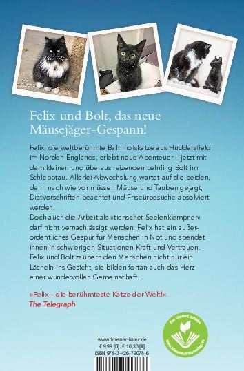 Produktbild: Mit Volldampf voraus, Felix!