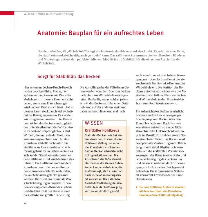 Produktbild: Skoliose - Aufrecht durch Bewegung