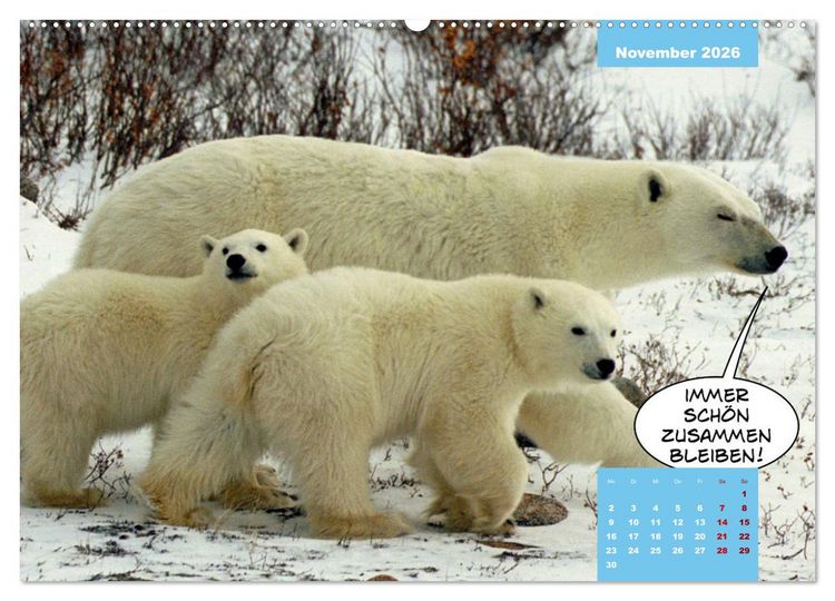 Produktbild: Lustige Eisb&auml;ren (hochwertiger Premium Wandkalender 2026 DIN A2 quer), Kunstdruck in Hochglanz