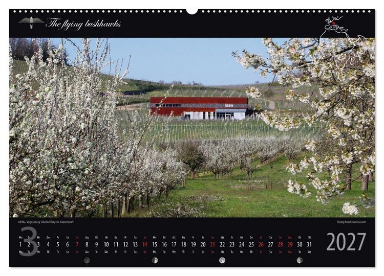 Produktbild: Wein & Architektur 2027 (hochwertiger Premium Wandkalender 2027 DIN A2 quer), Kunstdruck in Hochglanz